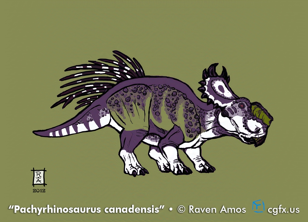 A striped Pachyrhinosaurus canadensis dinosaur in profile view with a shock of porcupine-like quills along a portion of its back. © Raven Amos