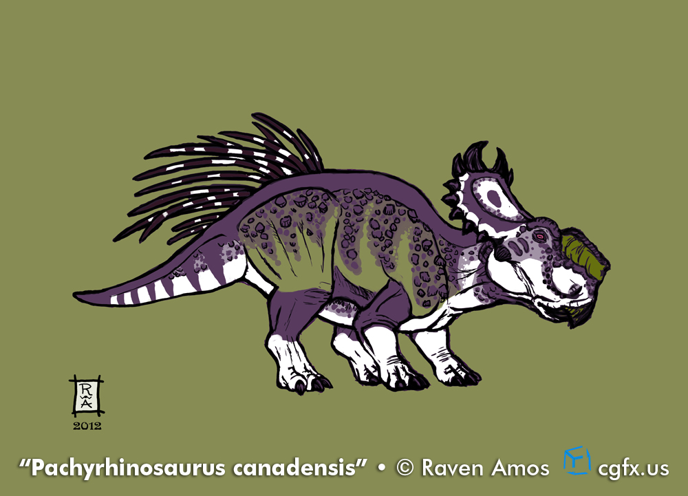 Pachyrhinosaurus canadensis in purple and green.