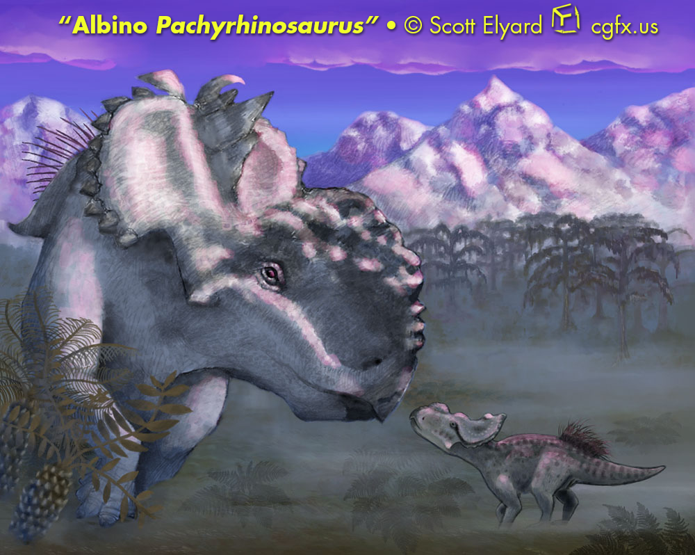 Albino Pachyrhinosaurus at Sunset