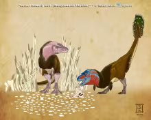 A pair of Gorgosaurus court in the male's carefully constructed bower of bones, stones, trees and branches. The female looks skeptically at the male as he bows his head and flares his tiny arm "wings" and the fan of iridescent green and brown feathers on his tail. His bright blue and red facial colors are a contrast to the draber colors of the female. © Raven Amos